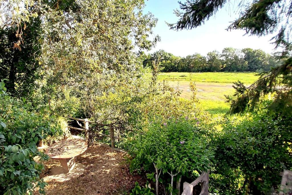 Le Bois Flotte - Maison Au Coeur De La Loire Entre Ville Et Nature Saumur Eksteriør bilde