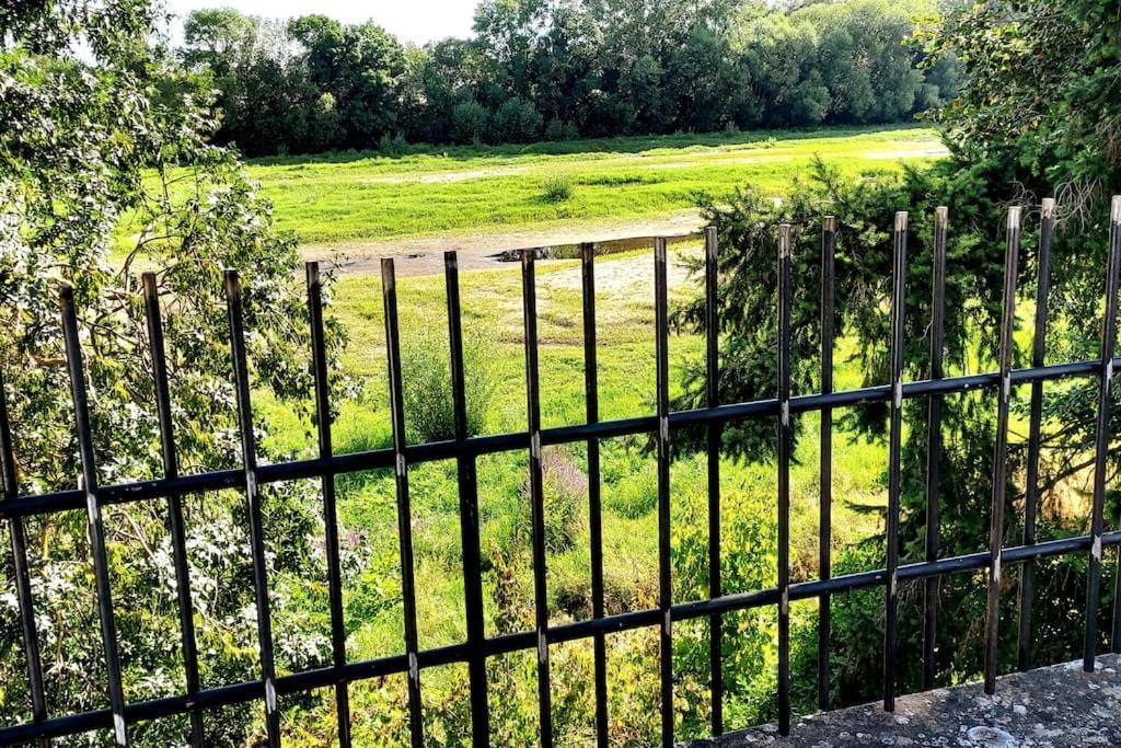 Le Bois Flotte - Maison Au Coeur De La Loire Entre Ville Et Nature Saumur Eksteriør bilde