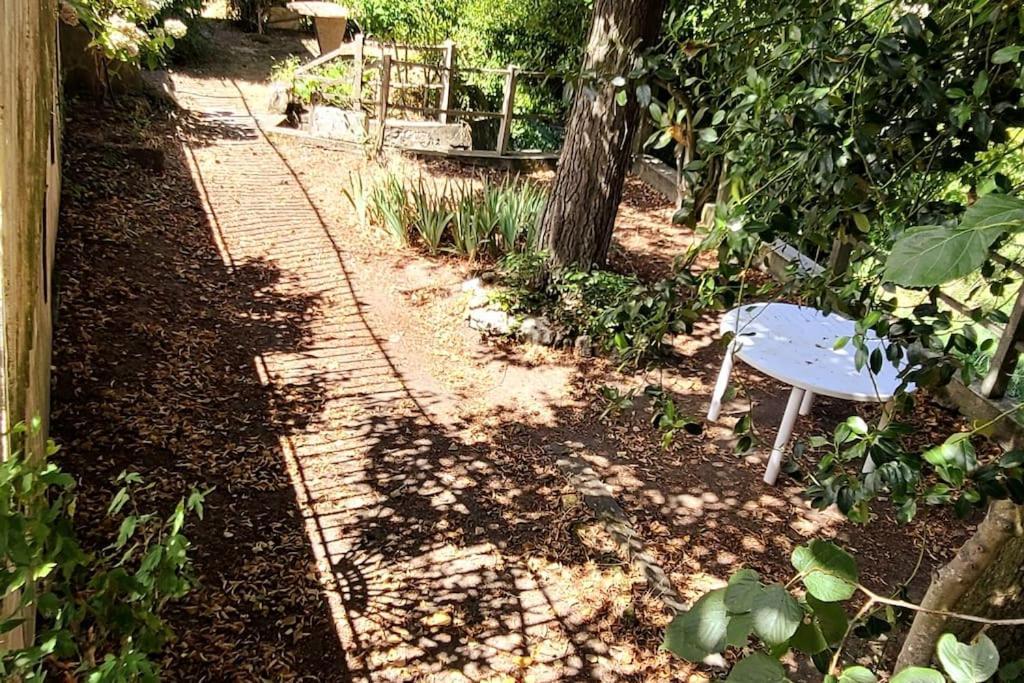 Le Bois Flotte - Maison Au Coeur De La Loire Entre Ville Et Nature Saumur Eksteriør bilde